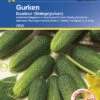 Einlegegurke Excelsior F1 | Einlegegurkensamen Von Kiepenkerl -Angebote Samen Zauber Store 3508 Einlegegurke Excelsior F1