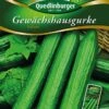 Gewächshausgurken Saturn | Gurkensamen Von Quedlinburger -Angebote Samen Zauber Store 531940 Gewaechshausgurken Saturn von Quedlinburger