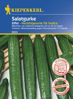 Salatgurke Eiffel F1 | Salatgurkensamen Von Kiepenkerl -Angebote Samen Zauber Store 532450 Salatgurke Eiffel F1