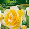 Narzisse Doktor Witteveen (5 Stück) | Narzissenzwiebeln Von Quedlinburger -Angebote Samen Zauber Store 533115 Narzisse Doktor Witteveen 5 Stueck 309942 qb 0