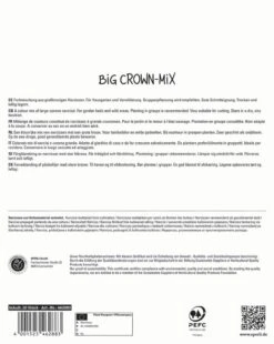 Großkronige Narzissen Mischung (20 Stück) | Narzissenzwiebeln Von Sperli -Angebote Samen Zauber Store 533324 Grosskronige Narzissen Mischung 20 Stueck 462883 1