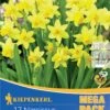 Mega-Pack Steingarten Narzisse Tête à Tête (17 Stück) | Narzissenzwiebeln Von Kiepenkerl -Angebote Samen Zauber Store 533504 Mega Pack Steingarten Narzisse T te a T te 17 Stueck 509009 0
