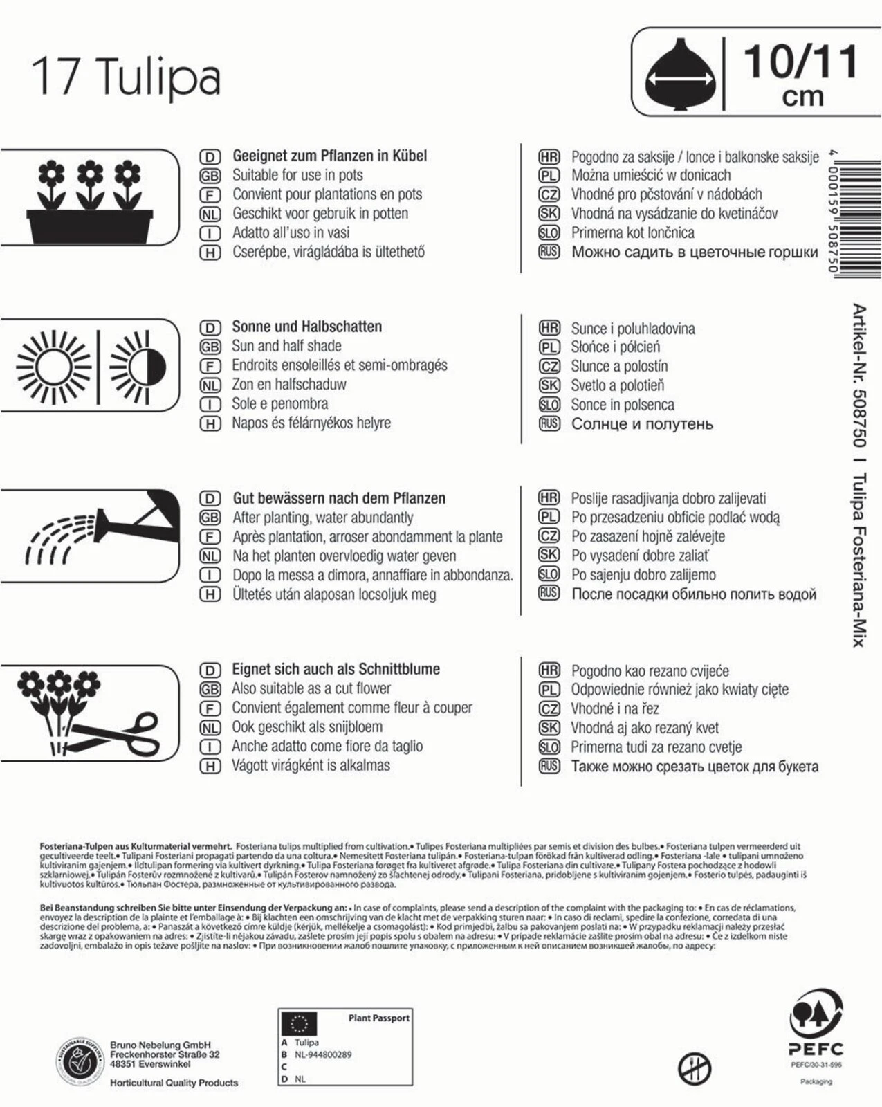 Mega-Pack Fosteriana-Tulpe Mischung (17 Stück) | Tulpenzwiebeln Von Kiepenkerl 4 Mega-Pack Fosteriana-Tulpe Mischung (17 Stück) | Tulpenzwiebeln Von Kiepenkerl – Bild 2
