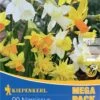 Mega-Pack Steingarten Narzissen Mischung (20 Stück) | Narzissenzwiebeln Von Kiepenkerl -Angebote Samen Zauber Store 533583 Mega Pack Steingarten Narzissen Mischung 20 Stueck 507036 0