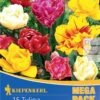 Mega-Pack Gefüllte Tulpen Mischung (15 Stück) | Tulpenzwiebeln Von Kiepenkerl -Angebote Samen Zauber Store 533586 Mega Pack Gefuellte Tulpen Mischung 15 Stueck 506930 0
