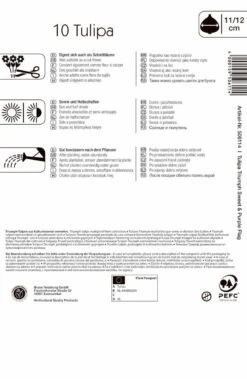 Triumph-Tulpe Dynamic Duo (10 Stück) | Tulpenzwiebeln Von Kiepenkerl