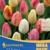 Mega-Pack Triumph-Tulpe Pastell Farbenspiel (17 Stück) | Tulpenzwiebeln Von Kiepenkerl -Angebote Samen Zauber Store 533595 Mega Pack Triumph Tulpe Pastell Farbenspiel 17 Stueck 508514 0