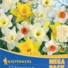 Mega-Pack Narzissen Mischung (17 Stück) | Narzissenzwiebeln Von Kiepenkerl -Angebote Samen Zauber Store 533620 Mega Pack Narzissen Mischung 17 Stueck 507012 0