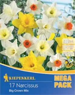 Mega-Pack Narzissen Mischung (17 Stück) | Narzissenzwiebeln Von Kiepenkerl