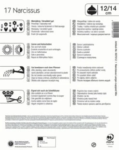 Angebote Samen Zauber Store -Angebote Samen Zauber Store 533620 Mega Pack Narzissen Mischung 17 Stueck 507012 1