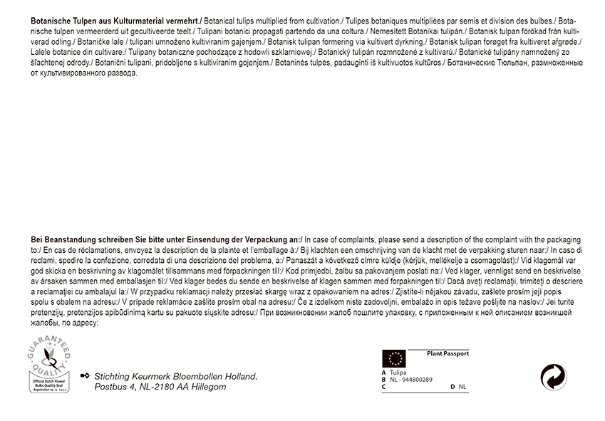 Tulpe Botanic Mix (30 Stück) | Tulpenzwiebeln Von Pegasus 3 Tulpe Botanic Mix (30 Stück) | Tulpenzwiebeln Von Pegasus