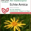 Echte Arnica | Heilpflanzensamen Von Saflax -Angebote Samen Zauber Store 535650 Echte Arnica 15202 sa 0