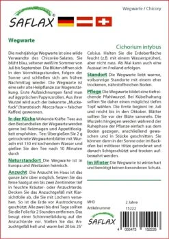 Wegwarte | Heilpflanzensamen Von Saflax -Angebote Samen Zauber Store 535670 Wegwarte 15222 sa 1