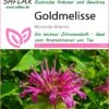 Goldmelisse | Melissensamen Von Saflax 2 Goldmelisse | Melissensamen Von Saflax -Angebote Samen Zauber Store 535685 Goldmelisse 17516 sa 0