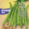 Buschbohne Saxa | BIO Buschbohnensamen Von Reinsaat