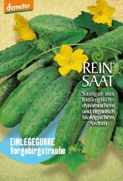Einlegegurke Vorgebirgstraube | BIO Einlegegurkensamen Von Reinsaat