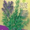 Ysop | BIO Kräutersamen Von Reinsaat
