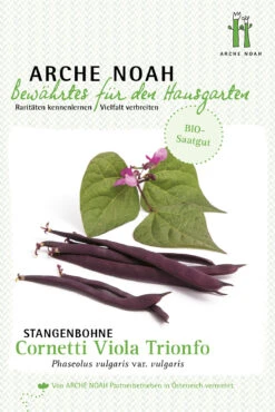 Stangenbohne Cornetti Viola Trionfo | BIO Stangenbohnensamen Von Arche Noah