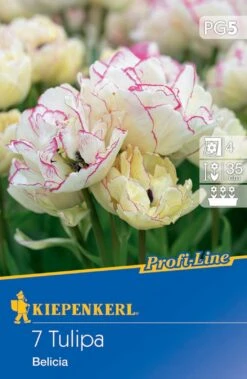 Mehrblütige Tulpe Belicia (7 Stück) | Tulpenzwiebeln Von Kiepenkerl -Angebote Samen Zauber Store 538078 Mehrbluetige Tulpe Belicia 7 Stueck 502796 0