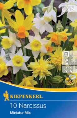 Angebote Samen Zauber Store -Angebote Samen Zauber Store 538124 Narzisse Miniatur Mischung 10 Stueck 503526 0