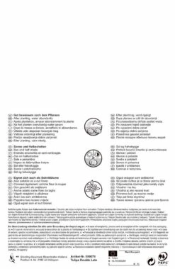 Angebote Samen Zauber Store -Angebote Samen Zauber Store 538226 Tulpe Carnaval de Nice und Blue Diamond 10 Stueck 599079 1