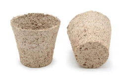 6 Cm Anzuchttopf Kokos Rund (2592 Stück) | Anzuchttöpfe Von Jiffy 10 6 Cm Anzuchttopf Kokos Rund (2592 Stück) | Anzuchttöpfe Von Jiffy -Angebote Samen Zauber Store 542628 6 cm Anzuchttopf aus Kokos rund 2592 Stueck 30812200 jf 0