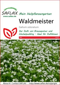 Waldmeister | Waldmeistersamen Von Saflax -Angebote Samen Zauber Store 543585 Waldmeister 15227 sa 0