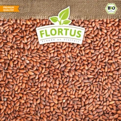 Bio-Kresse (200 G) | Bio-Kressesamen Von Flortus -Angebote Samen Zauber Store 543636 Bio Kresse 200 g 4