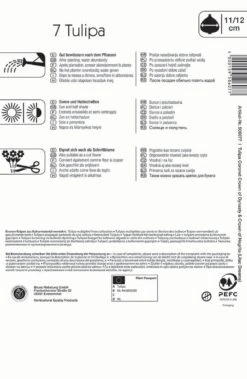 Kronentulpe Lilac Dreams (7 Stück) | Tulpenzwiebeln Von Kiepenkerl