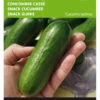 Snackgurke Iznik F1 | Minigurkensamen Von Buzzy Seeds [MHD 07/2024] -Angebote Samen Zauber Store 544713 Buzzy Snackgurke Iznik F1