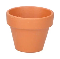 4 X 4,8 Cm Terracotta Töpfe (12 Stück) | Anzuchttöpfe Von Sogo
