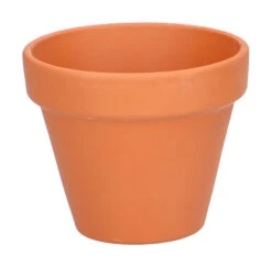 6,8 X 8 Cm Terracotta Töpfe (7 Stück) | Anzuchttöpfe Von Sogo -Angebote Samen Zauber Store 548519 6 8 x 8 cm Terracotta Toepfe 7 Stueck 887324 sg 2