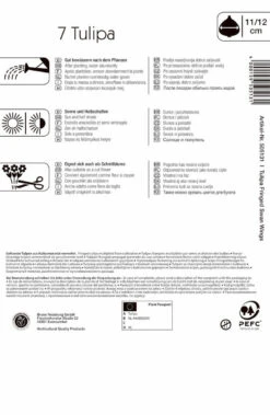 Gefranste Tulpe Swan Wings (7 Stück) | Tulpenzwiebeln Von Kiepenkerl