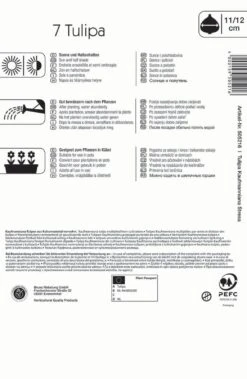 Kaufmanniana-Tulpe Stresa (7 Stück) | Tulpenzwiebeln Von Kiepenkerl