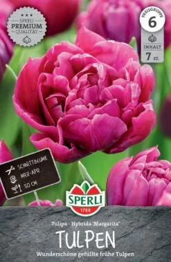 Tulpe Margarita (7 Stück) | Tulpenzwiebeln Von Sperli -Angebote Samen Zauber Store 549426 Tulpe Margarita 7 Stueck 451429 0
