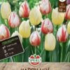 Frühlingsgarten Happy Mix (12 Stück) | Triumph-Tulpen Von Sperli