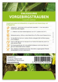 Einlegegurke Vorgebirgstrauben (100 Stück) | Einlegegurkensamen Von FLORTUS -Angebote Samen Zauber Store 549867 Einlegegurke Vorgebirgstrauben 100 Stueck 2000 0484 100x 2