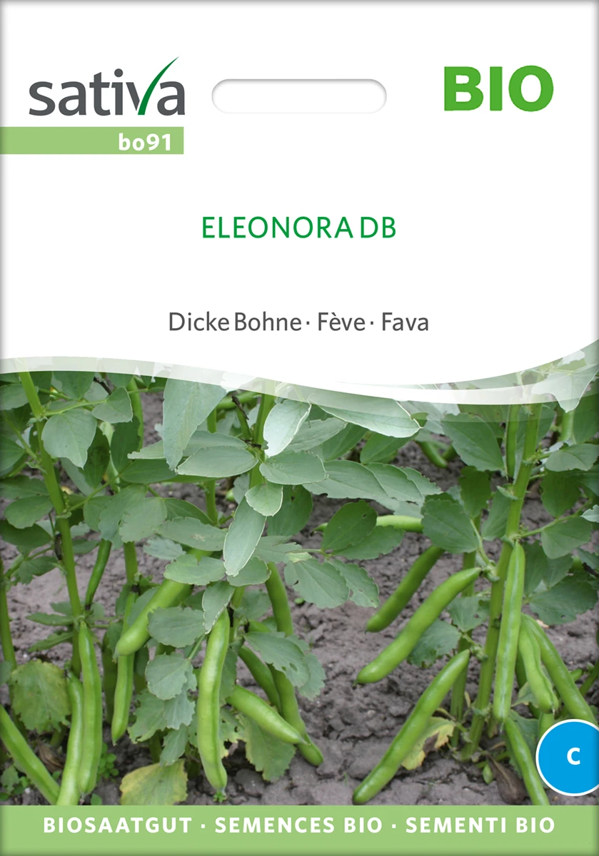 Dicke Bohne Eleonora DB | BIO Bohnensamen Von Sativa Rheinau 3 Dicke Bohne Eleonora DB | BIO Bohnensamen Von Sativa Rheinau