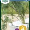 Dill Thalia | Dillsamen Von Nelson Garden -Angebote Samen Zauber Store 552129 Dill Thalia 90272 ng 0