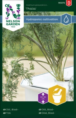 Dill Thalia | Dillsamen Von Nelson Garden