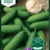 Gurke Iznik F1 | Gurkensamen Von Nelson Garden -Angebote Samen Zauber Store 552190 Gurke Iznik F1 90372 ng 0