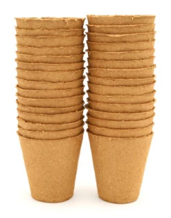 8 Cm Anzuchttopf Rund Auf Holzfaser Basis | Anzuchttöpfe Von FLORTUS -Angebote Samen Zauber Store 552303 8 cm Anzuchttopf rund auf Holzfaser Basis 30 Stueck 2000 0595 2