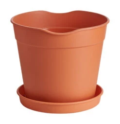 Anzuchttopf Easy Release Groß (5 Stück) | Jungpflanzentöpfe Von Clever Pots -Angebote Samen Zauber Store 553516 Blumentopf Easy Release gross 5 Stueck 503879 kp 1