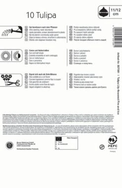 Tulpen Mix Fire And Ice (10 Stück) | Tulpenzwiebeln Von Kiepenkerl