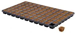 Eazy Plug Anzuchtwürfel CT77, 3,5 X 3,5 Cm, Tray Mit 77 Stk. | Anzuchttray -Angebote Samen Zauber Store 557344 Eazy Plug Anzuchtwuerfel CT77 3 5 x 3 5 cm Tray mit 77 Stk 533627 Eazy Plug Anzuchtwuerfel 3 5x3 5 cm Tray mit 77 St