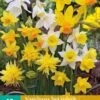 Narzisse Botanisch Mix (10 Stück) | Narzissenzwiebeln Von Jub Holland -Angebote Samen Zauber Store 559792 Narzisse Botanisch Mix 10 Stueck 307040 jb 0