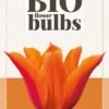 Tulpe Ballerina (7 Stück) | BIO Tulpenzwiebeln Von Jub Holland -Angebote Samen Zauber Store 560034 BIO Tulpe Ballerina 10 Stueck 325100 jb 0