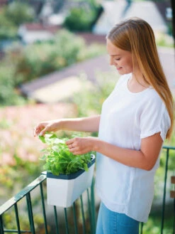 HARRY HERBS Kräutertopf Weiß | Kräutertöpfe Von Gusta Garden -Angebote Samen Zauber Store 560336 HARRY HERBS weiss 102B10 gg 1