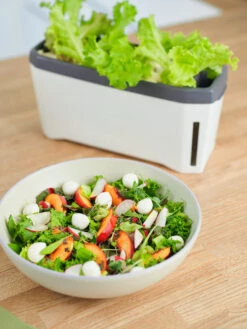 HARRY HERBS Kräutertopf Weiß | Kräutertöpfe Von Gusta Garden -Angebote Samen Zauber Store 560336 HARRY HERBS weiss 102B10 gg 4