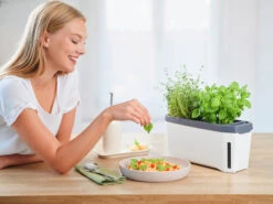 HARRY HERBS Kräutertopf Weiß | Kräutertöpfe Von Gusta Garden -Angebote Samen Zauber Store 560336 HARRY HERBS weiss 102B10 gg 8